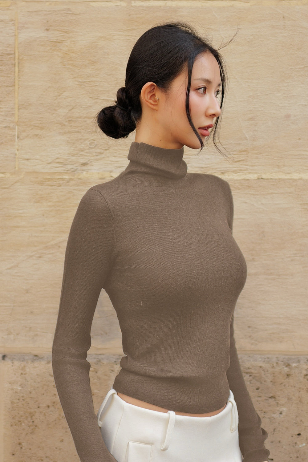 Wool Knit Roll Neck Long Sleeve Top