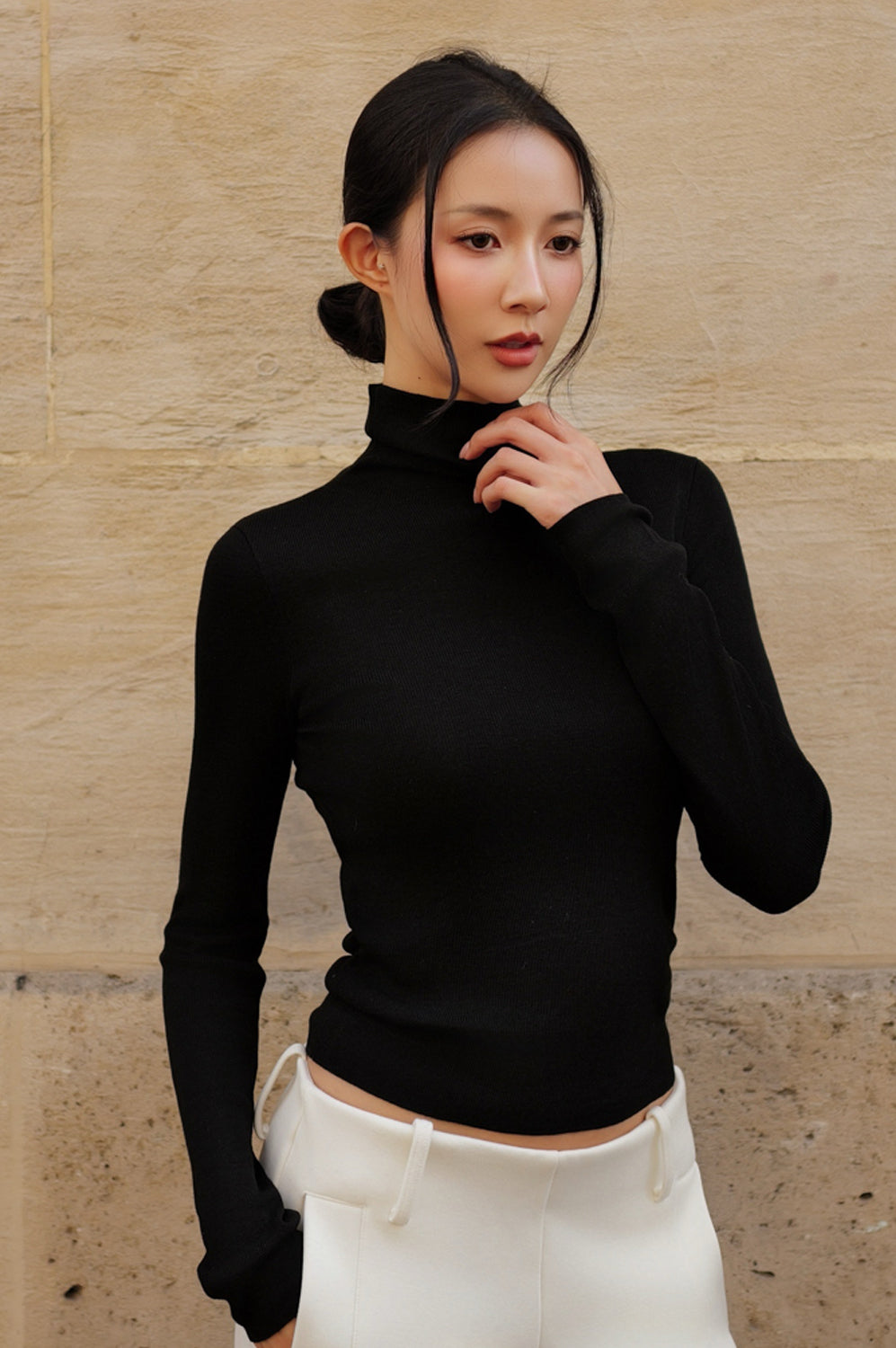 Wool Knit Roll Neck Long Sleeve Top